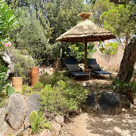 Lily Bay Baie De Santa Giulia-porto Vecchio *