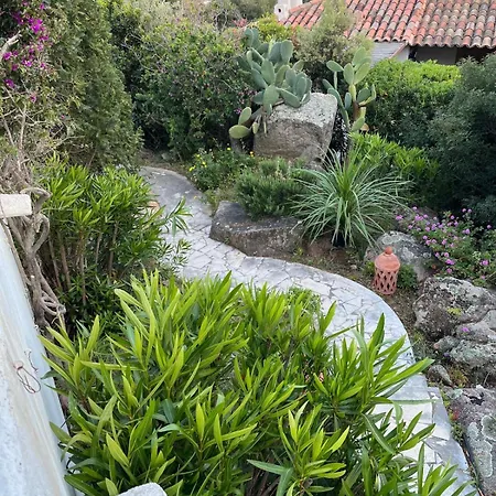 Lily Bay Baie De Santa Giulia-porto Vecchio Porto-Vecchio (Corsica)