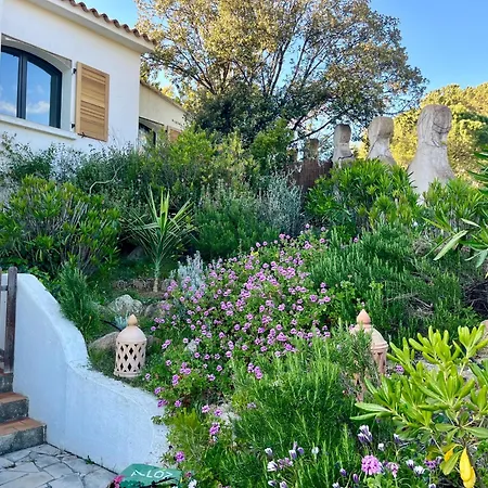 Lily Bay Baie De Santa Giulia-porto Vecchio Vila Porto-Vecchio (Corsica)