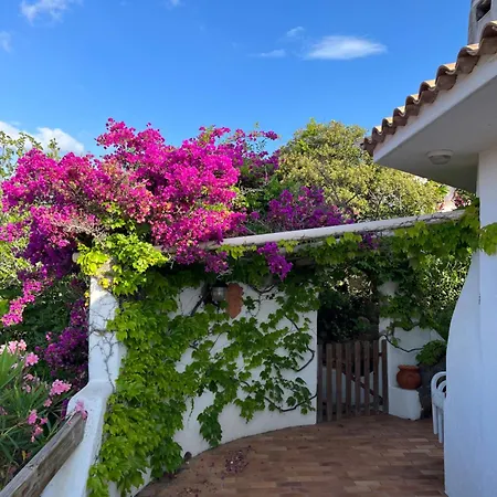 Lily Bay Baie De Santa Giulia-porto Vecchio Vila Porto-Vecchio (Corsica)