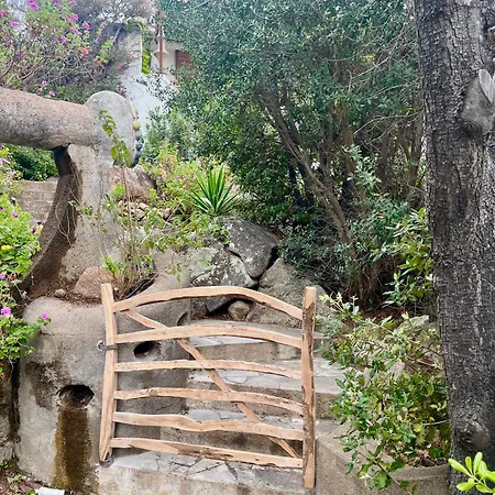 Lily Bay Baie De Santa Giulia-porto Vecchio *