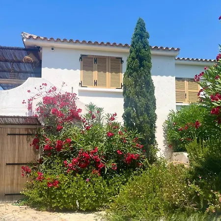 Lily Bay Baie De Santa Giulia-porto Vecchio *