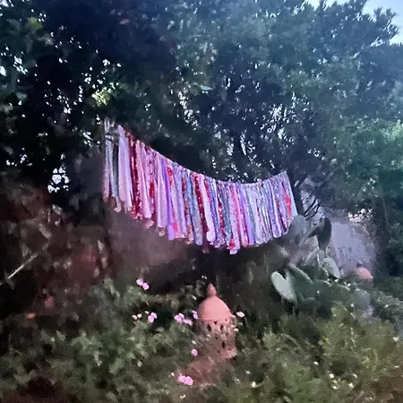 Lily Bay Baie De Santa Giulia-porto Vecchio * Porto-Vecchio (Corsica)