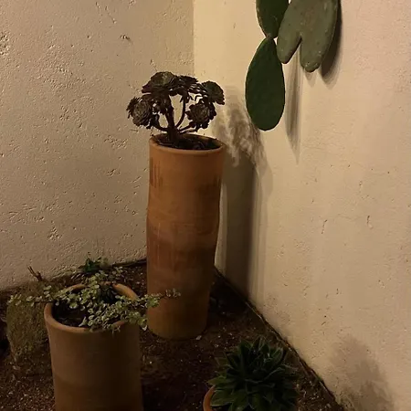 Lily Bay Baie De Santa Giulia-porto Vecchio Vila