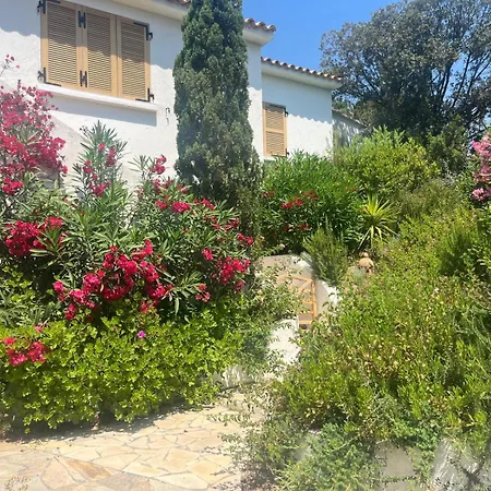 Lily Bay Baie De Santa Giulia-porto Vecchio