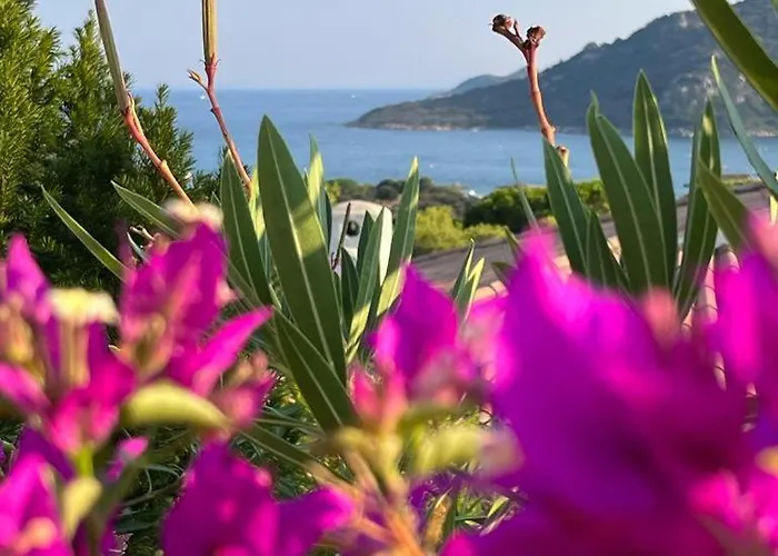 Βίλα Lily Bay Baie De Santa Giulia-porto Vecchio *