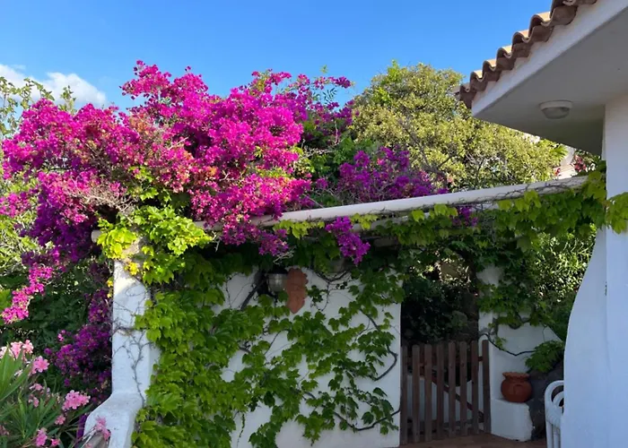 Lily Bay Baie De Santa Giulia-porto Vecchio Βίλα Πόρτο Βέκιο