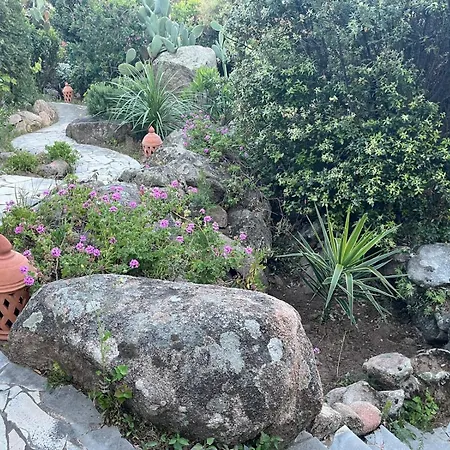 Lily Bay Baie De Santa Giulia-porto Vecchio 포르토베쉬오