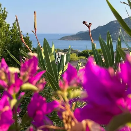 빌라 Lily Bay Baie De Santa Giulia-porto Vecchio *