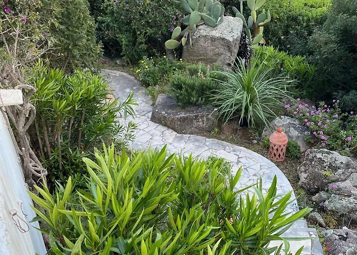 Lily Bay Baie De Santa Giulia-porto Vecchio Porto-Vecchio (Corsica)