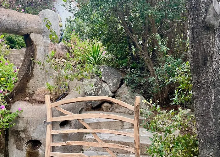 Lily Bay Baie De Santa Giulia-porto Vecchio *