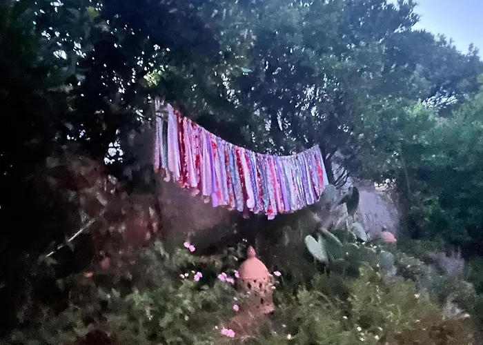 Lily Bay Baie De Santa Giulia-porto Vecchio * Porto-Vecchio (Corsica)